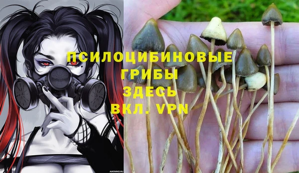 меф VHQ Новозыбков