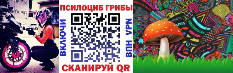 Купить где  Константиновск  Псилоцибиновые грибы Cubensis 
